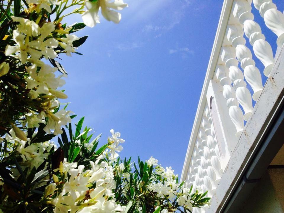 Apartment Azriel Vir Ngoại thất bức ảnh